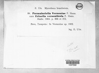 Parmulariella vernoniae image